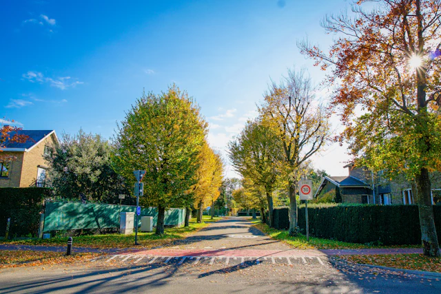 Tree-lined suburban street in Spring, Texas